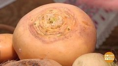 Проще пареной репы! Доброе утро. Фрагмент выпуска от 05.11.2019