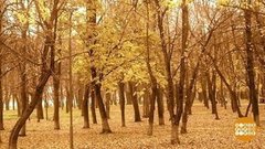 Какой пейзаж! Доброе утро. Фрагмент выпуска от 05.11.2019