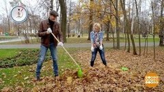 Юрий Батурин убирает листья. Доброе утро. Фрагмент выпуска от 06.11.2019