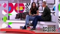 Енот на диете, бультерьер с острым слухом, лабрадор-гармошечник. Видели видео?