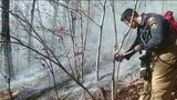 В Краснодарском крае ввели режим ЧС из-за природных пожаров