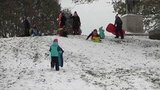 Сильнейший снегопад обрушился на Чикаго и его окрестности