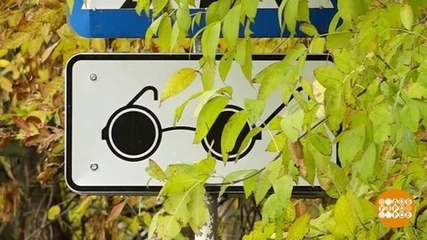 Мир на кончиках пальцев. Доброе утро. Фрагмент выпуска от 13.11.2019