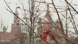 В Центральной России продолжается «зимнее бабье лето»