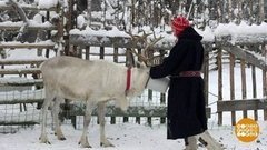 В торбасах не замерзнешь! Доброе утро. Фрагмент выпуска от 20.11.2019