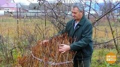 Готовим дачу к холодам. Доброе утро. Фрагмент выпуска от 20.11.2019