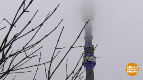 Метеозависимость — правда или миф? Доброе утро. Фрагмент выпуска от 21.11.2019