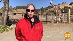 В мире. Возвращение домой. Доброе утро. Фрагмент выпуска от 22.11.2019