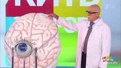 Билли Айлиш и синдром Туретта. Жить здорово! Фрагмент выпуска от 26.11.2019