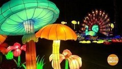 Когда качаются фонарики ночные… Доброе утро. Суббота. Фрагмент выпуска от 30.11.2019