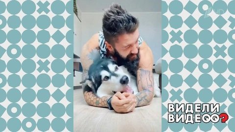 Хвостатый тренер. Видели видео? Фрагмент выпуска от 01.12.2019