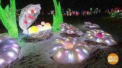 Китайские фонарики в Сокольниках. Доброе утро. Фрагмент выпуска от 05.12.2019