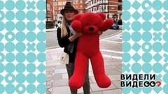 Несекретные материалы Анны Семенович. Видели видео? Фрагмент выпуска от 08.12.2019