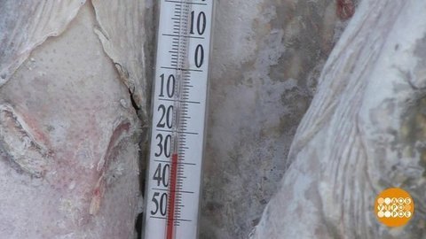 Обнимашки, газеты и осуохай — против мороза. Доброе утро. Фрагмент выпуска от 10.12.2019