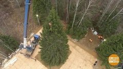 Главная елка страны. Рубим! Доброе утро. Суббота. Фрагмент выпуска от 14.12.2019