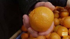 Почем мандаринки? Доброе утро. Фрагмент выпуска от 27.12.2019