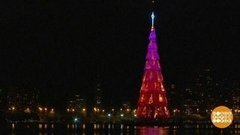 В мире. Плавающая елка. Доброе утро. Фрагмент выпуска от 30.12.2019