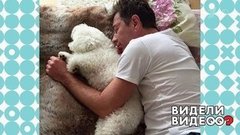 Несекретные материалы Валерия Сюткина. Видели видео? Фрагмент выпуска от 06.01.2020