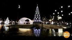 Самые-самые елки. Доброе утро. Фрагмент выпуска от 07.01.2020