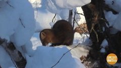 Соболь, улыбочку! Доброе утро. Суббота. Фрагмент выпуска от 11.01.2020