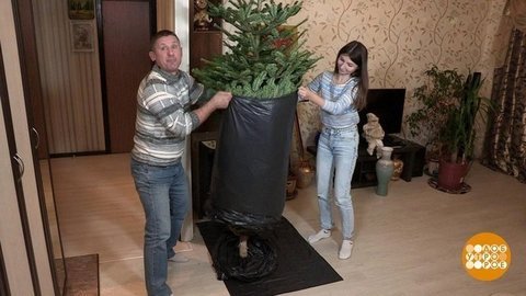 Дмитрий Талабуев пакует елочку. Доброе утро. Фрагмент выпуска от 14.01.2020