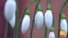 Зима. Все цветет! Доброе утро. Фрагмент выпуска от 14.01.2020