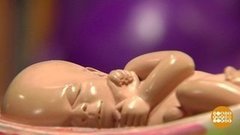 «Откуда дети берутся?» Отвечаем первоклашкам! Доброе утро. Фрагмент выпуска от 15.01.2020