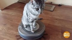 Робот-пылесос. Доброе утро. Фрагмент выпуска от 17.01.2020