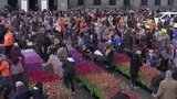 Столица Нидерландов на несколько часов превратилась в столицу цветочную