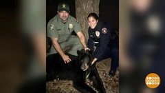 В мире. Медведь-шатун. Доброе утро. Фрагмент выпуска от 20.01.2020