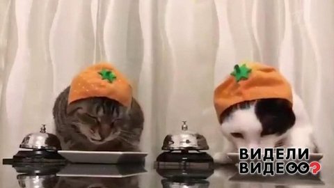 Видели видео? Анонс