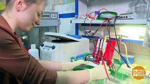 Куда пойти учиться? Доброе утро. Суббота. Фрагмент выпуска от 25.01.2020