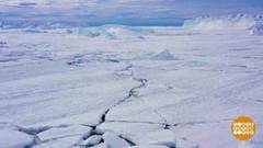 Алло, Антарктида на связи! Доброе утро. Фрагмент выпуска от 28.01.2020