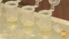 Коронавирус — это что вообще? Доброе утро. Фрагмент выпуска от 28.01.2020