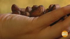 Какао — пища богов. Доброе утро. Фрагмент выпуска от 30.01.2020