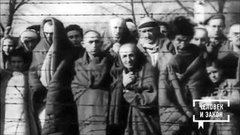 Годовщина освобождения Освенцима: историческая правда. Человек и закон. Фрагмент выпуска от 31.01.2020
