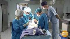 Рак — не приговор. Доброе утро. Фрагмент выпуска от 04.02.2020