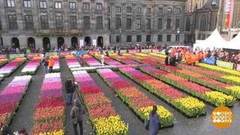 В мире. Страна тюльпанов. Доброе утро. Фрагмент выпуска от 05.02.2020