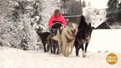 В мире. Экстремальные гонки на собаках. Доброе утро. Фрагмент выпуска от 07.02.2020