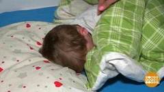 «Нехочуха» идет в садик. Доброе утро. Фрагмент выпуска от 19.02.2020