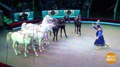 Цирк? «Фантастика»! Доброе утро. Фрагмент выпуска от 21.02.2020