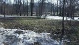 Столичный этап гонки «Лыжня России» решено отложить на неопределенный срок