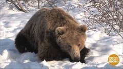 Зверская бессонница. Доброе утро. Фрагмент выпуска от 26.02.2020