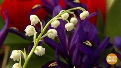 Весне дорогу! Доброе утро. Суббота. Фрагмент выпуска от 29.02.2020