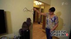 Несекретные материалы Светланы Рожковой. Видели видео? Фрагмент выпуска от 01.03.2020