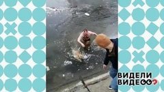 Астраханец спас собаку из ледяной воды. Видели видео? Фрагмент выпуска от 09.03.2020