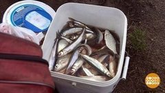 Корюшка пошла! Доброе утро. Фрагмент выпуска от 20.03.2020