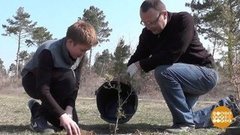 «Сад памяти»: 27 000 000 деревьев. Доброе утро. Фрагмент выпуска от 25.03.2020