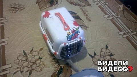 Кошка пытается выбраться из переноски. Видели видео? Фрагмент выпуска от 29.03.2020