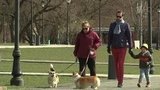 Столичные власти предупреждают, что режим самоизоляции может быть ужесточен, если нарушителей будет много